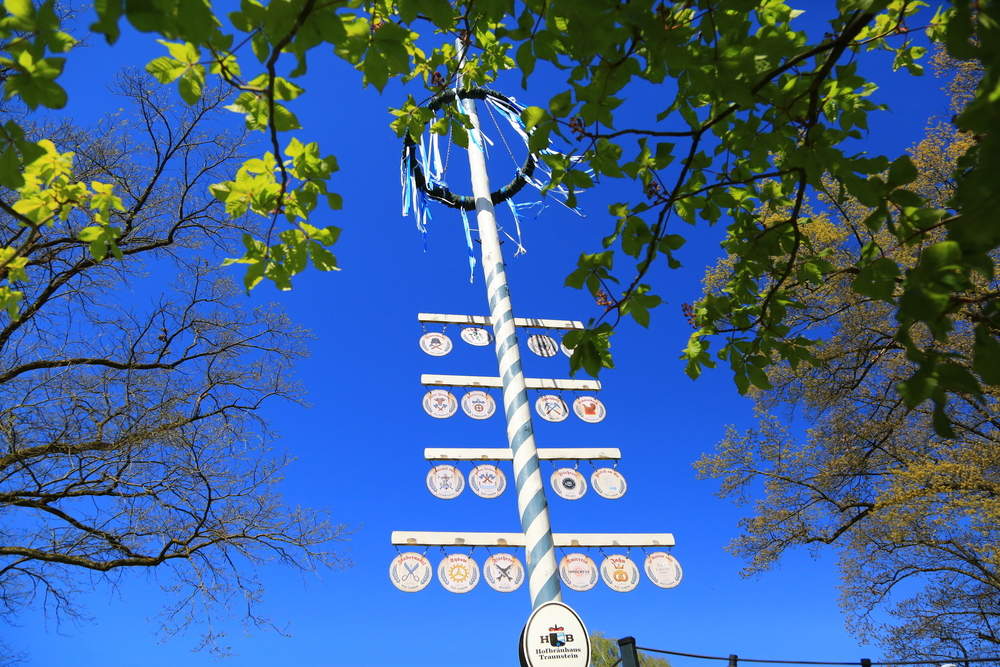bayerischer Maibaum hinter blauem Himmel